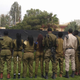 Israeli soldiers from the African Hebrew Israelite community turn their backs to the camera in silent protest against the army’s determination that Toveet Radcliffe took her own life. (David Sheen)